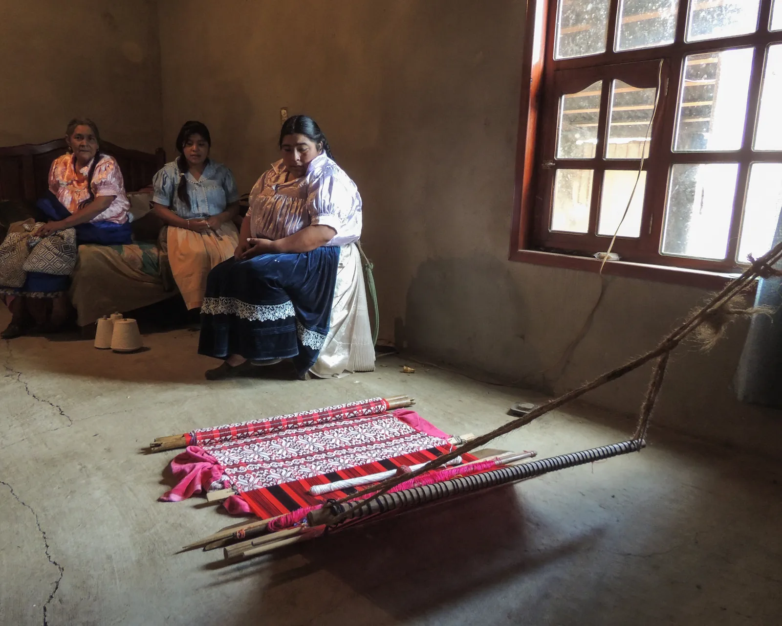 Pedro, Frida y su jardín de flores