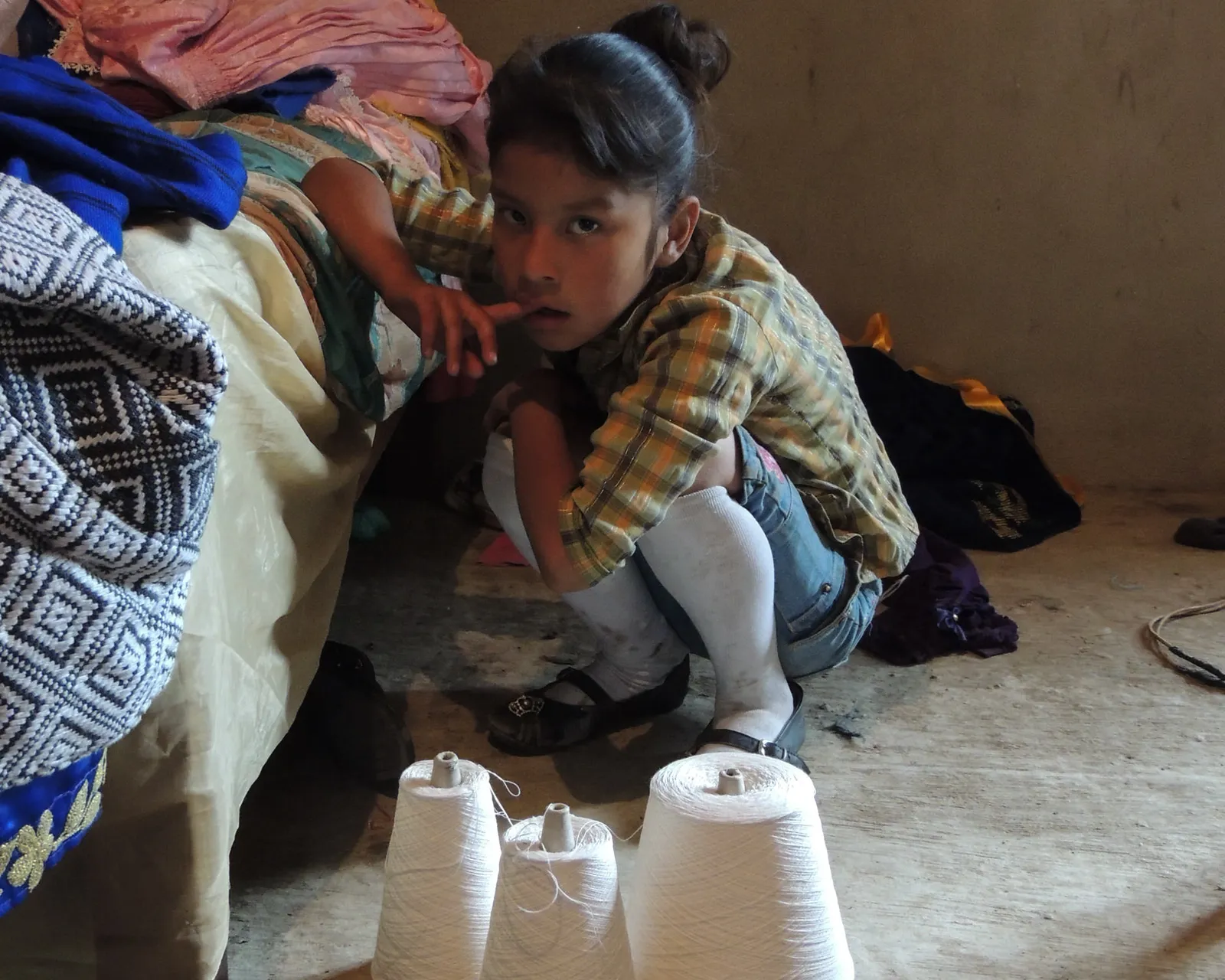 Pedro, Frida y su jardín de flores