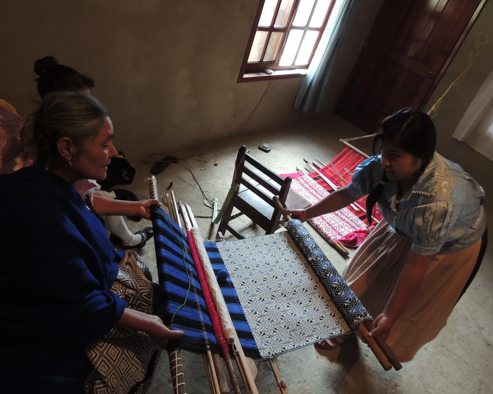 Pedro, Frida y su jardín de flores