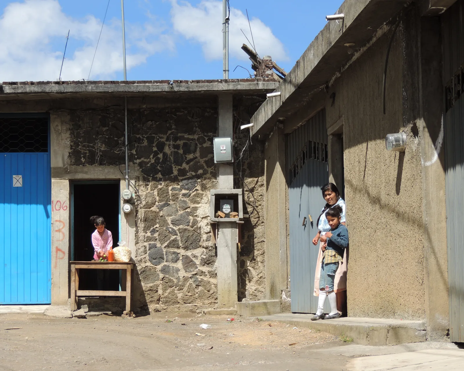 Pedro, Frida y su jardín de flores