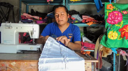 Pedro, Frida y su jardín de flores