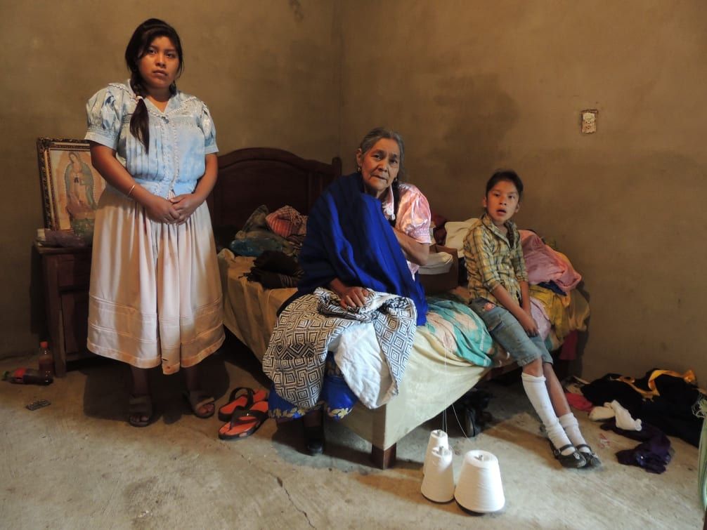 Sabiduría de la Selva