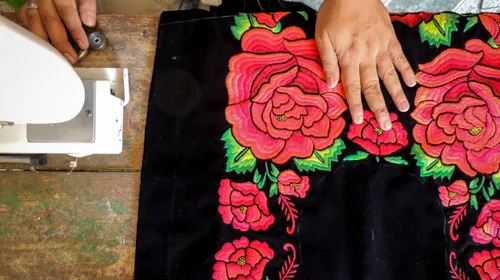 Pedro, Frida y su jardín de flores