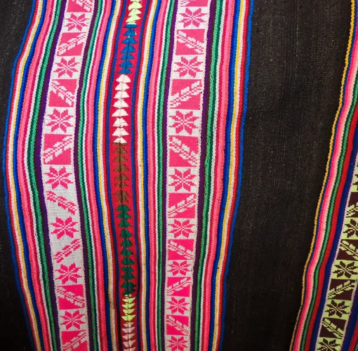 Del campo a la ciudad