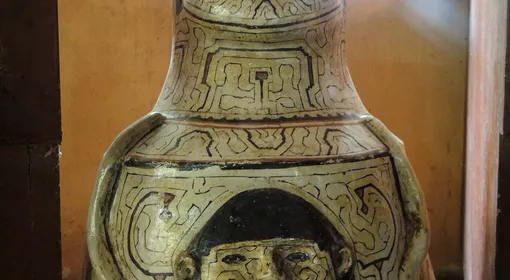 La sabiduría de la selva