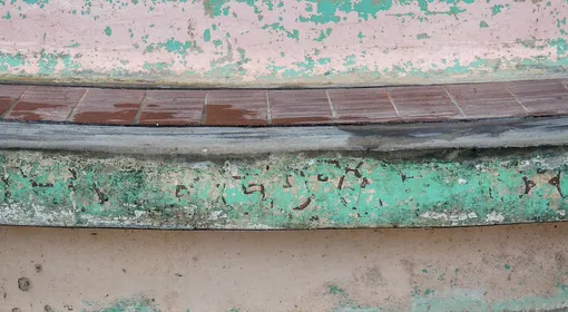 La sabiduría de la selva