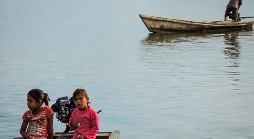 La sabiduría de la selva