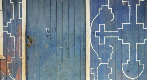 La sabiduría de la selva