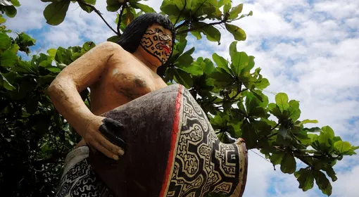 La sabiduría de la selva